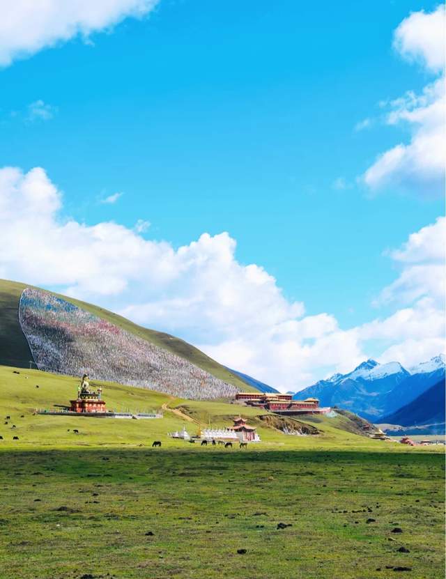 「龙灯草原」格萨尔征战过的草原_游记