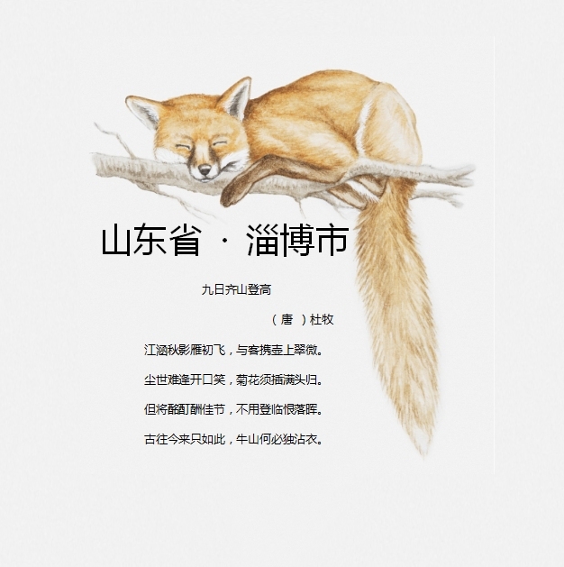 [ 不要贪玩·乐鱼儿 ] 山东省 · 淄博市_游记