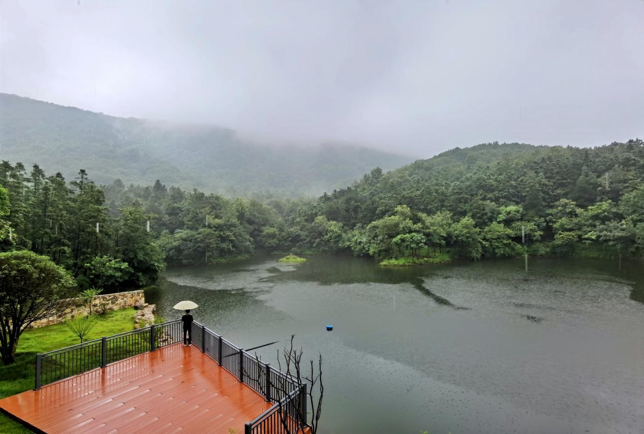 【全域旅游看江苏】句容：以生态底色耕耘山水田园旅游强市 