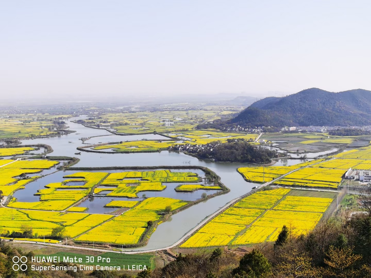 烟花三月赏花之旅～芜湖响水涧油菜花_游记