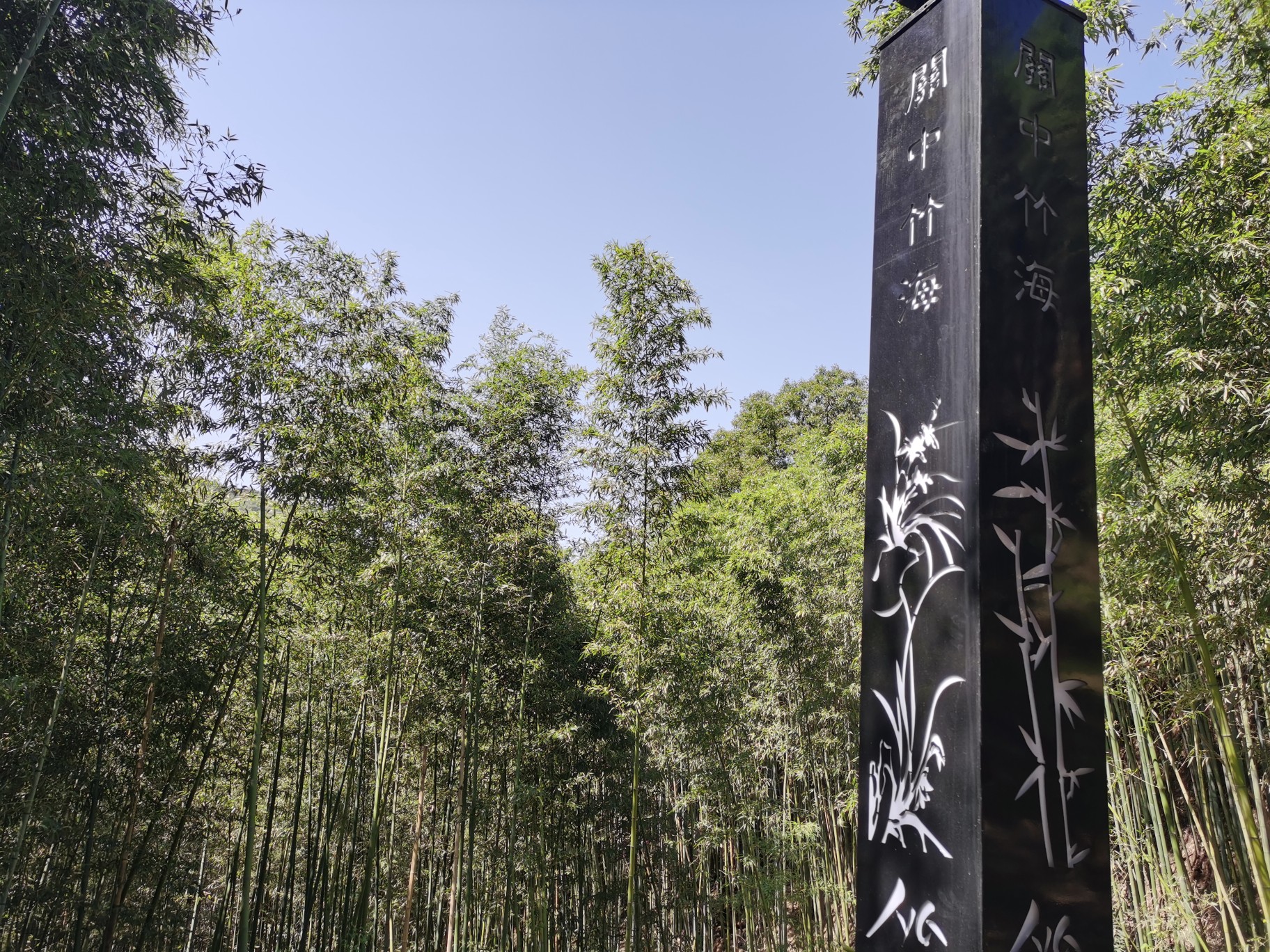 西安鲸鱼沟竹海风景区