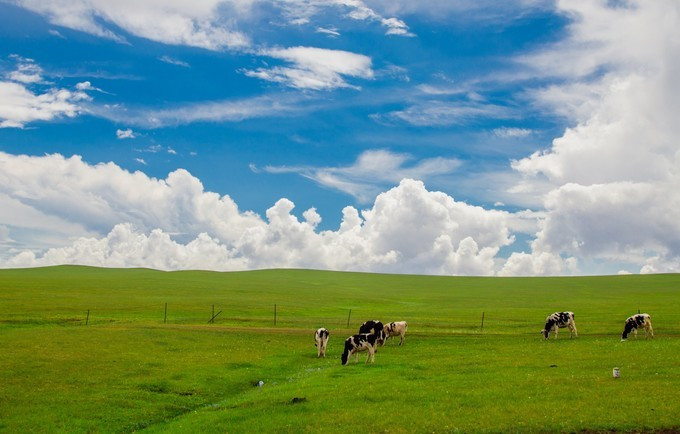 呼伦贝尔大草原十大最美的风景