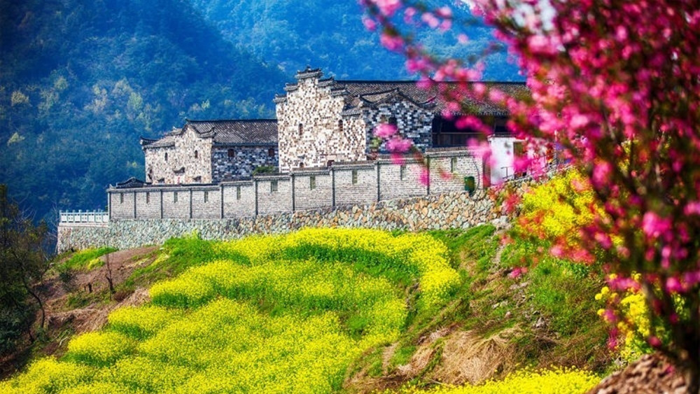 事一日游·徒步穿越浦江梦幻春色(五路岭古道 油菜花海 彩色3d罗源村