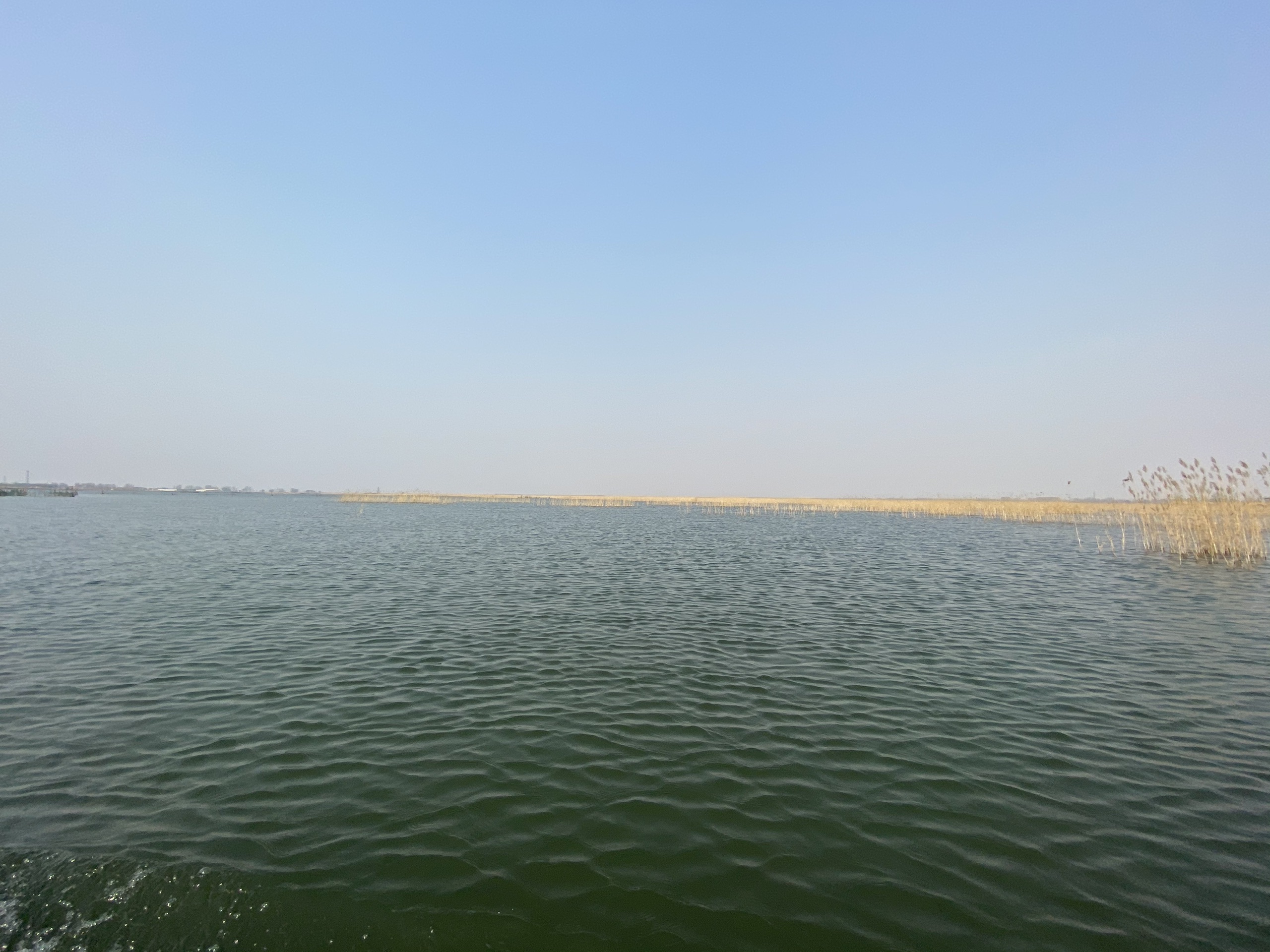 任丘景点介绍,任丘旅游景点,任丘景点推荐 - 马蜂窝