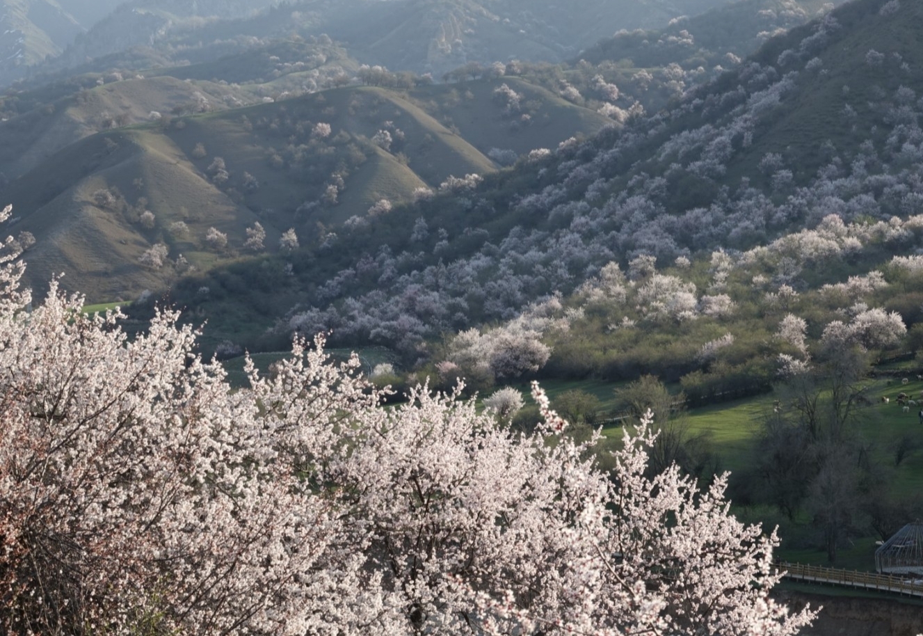 中华福寿山景区_游记