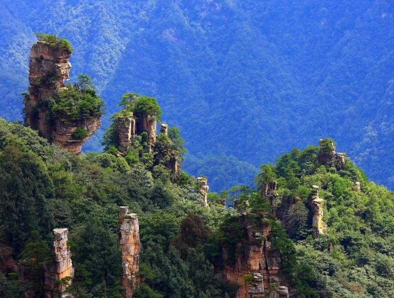 图片大全山水真实张家界五指山图片张家界风景竹林图片大全风景图片