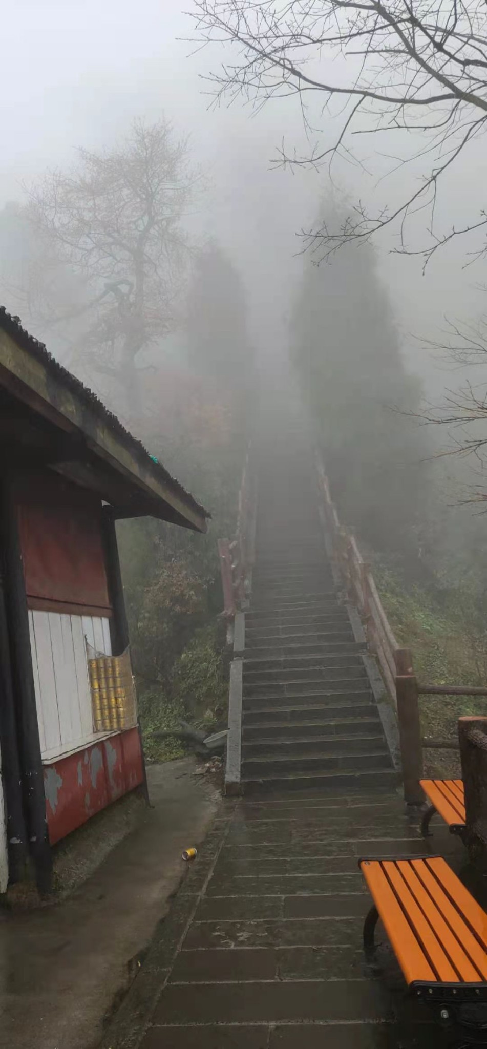 峨眉山旅游攻略,从五显岗一天徒步到雷洞坪