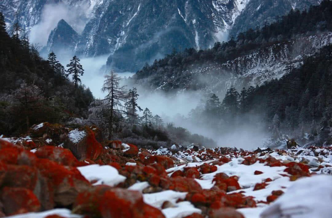 贡嘎山燕子沟风景区门票观光车票