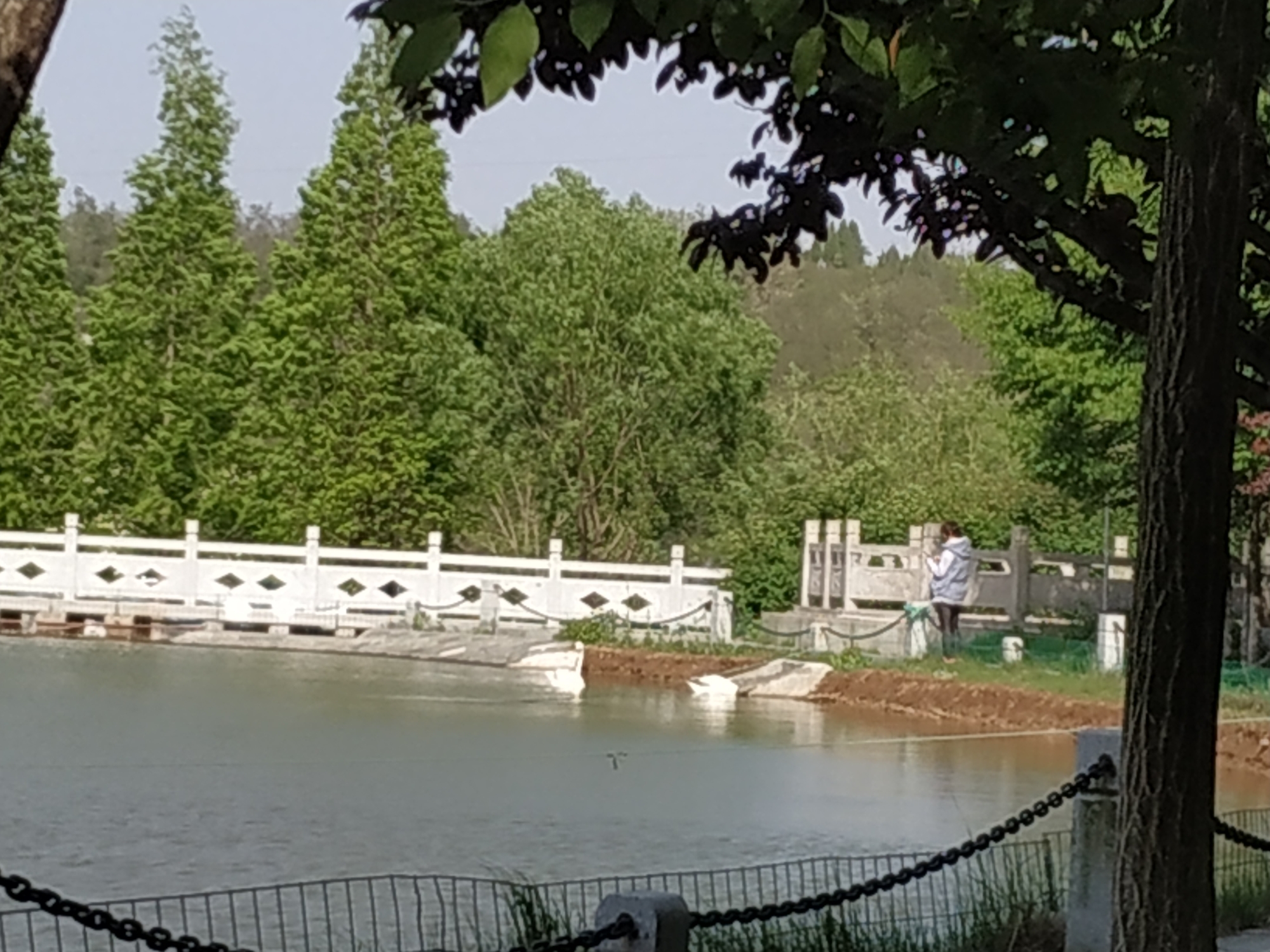 232省道旁《如月湖景区》_游记