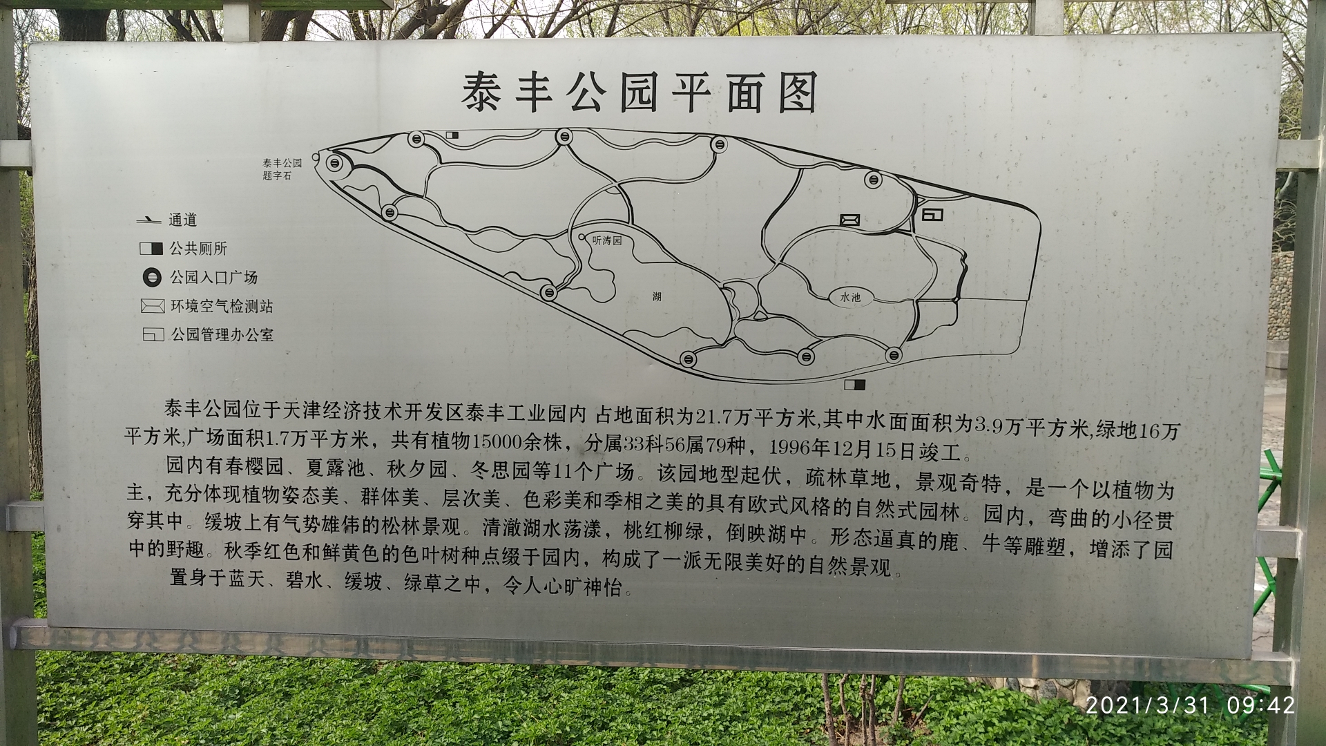 滨海新区赏花地图之泰丰公园