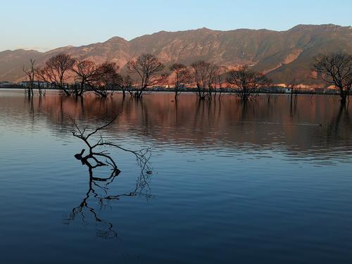 鹤庆黑龙潭,水光山色