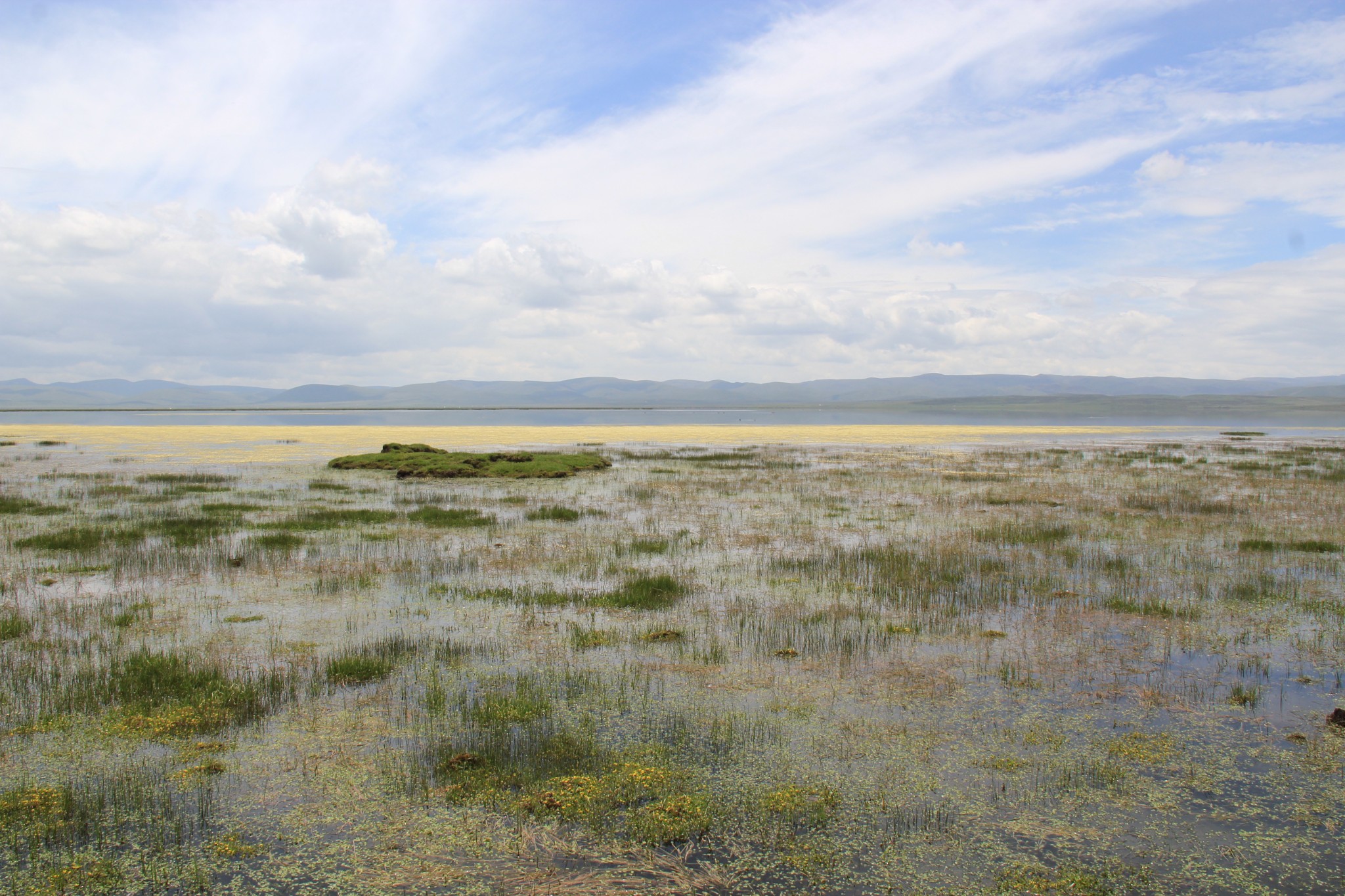 甘肃18｜碌曲——尕海湖_游记