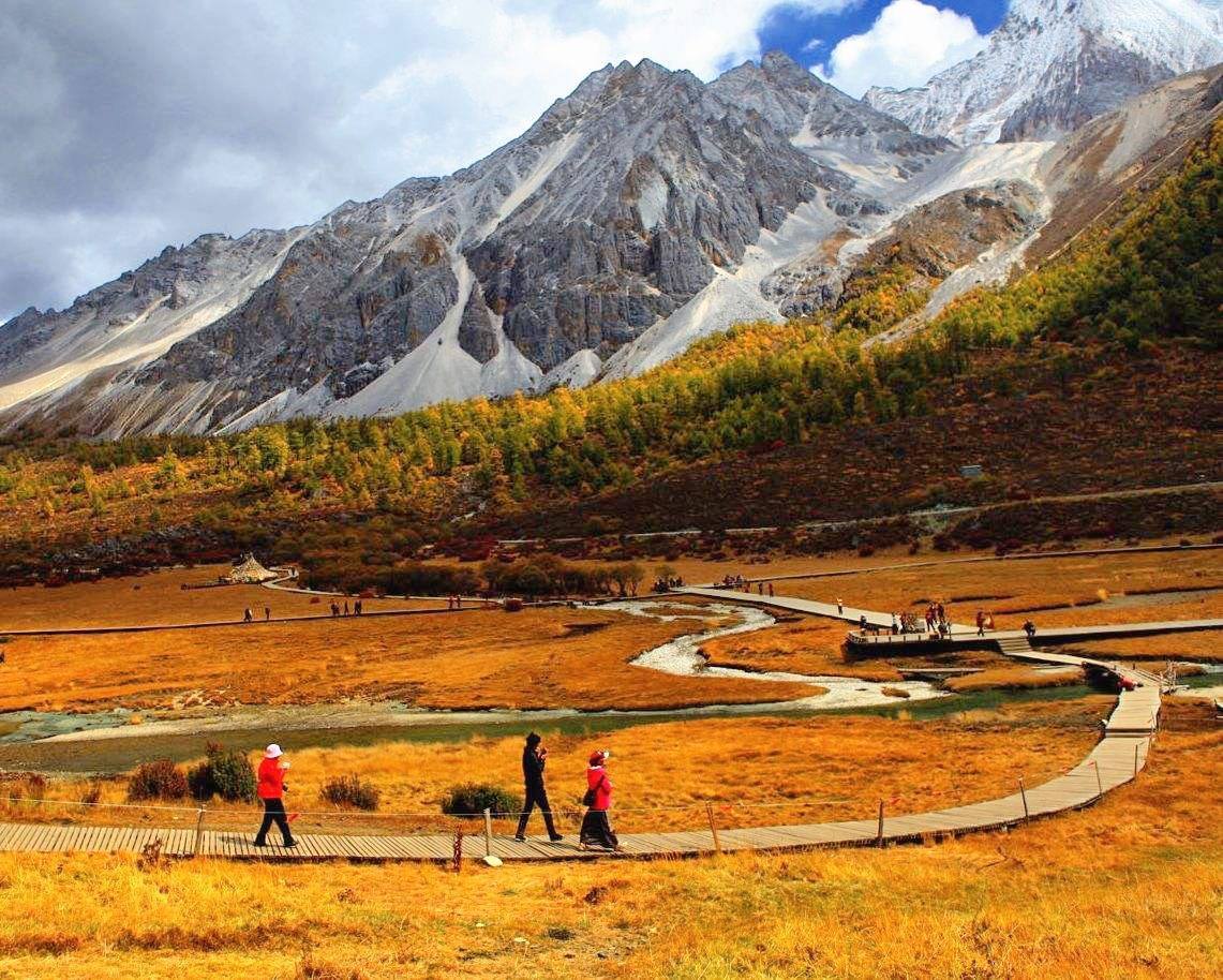 稻城亚丁红草地稻城亚丁旅游景区西藏无人机旅游稻城无人机五一的稻城