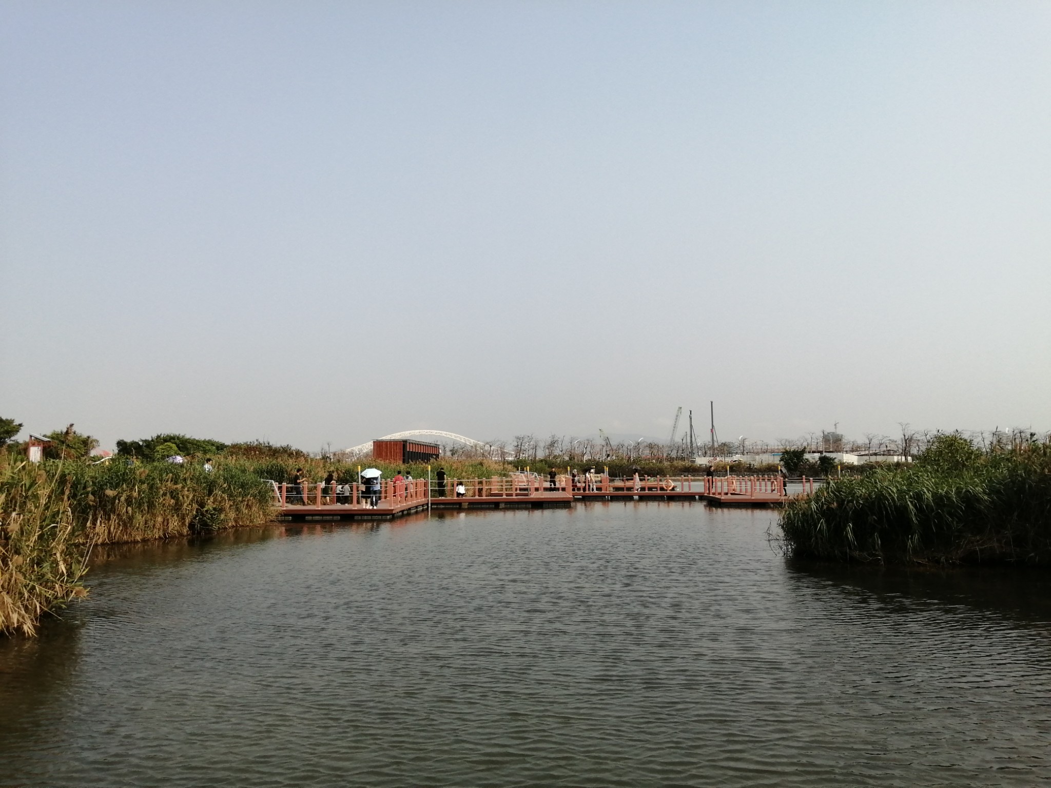 珠海横琴芒洲湿地公园|山脉田园,水脉都市,芒海浮绿,>