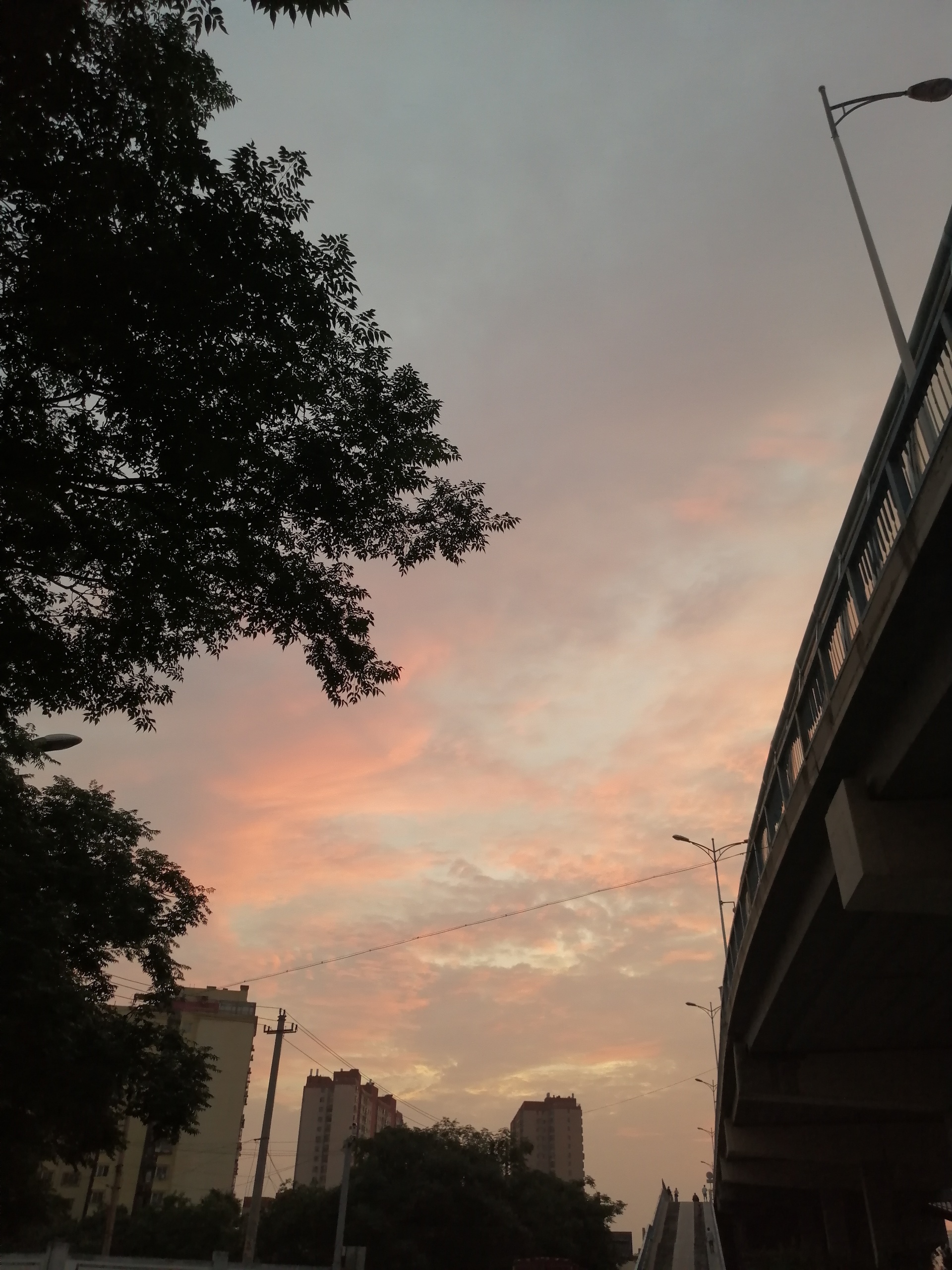 济南美食-大明烧烤