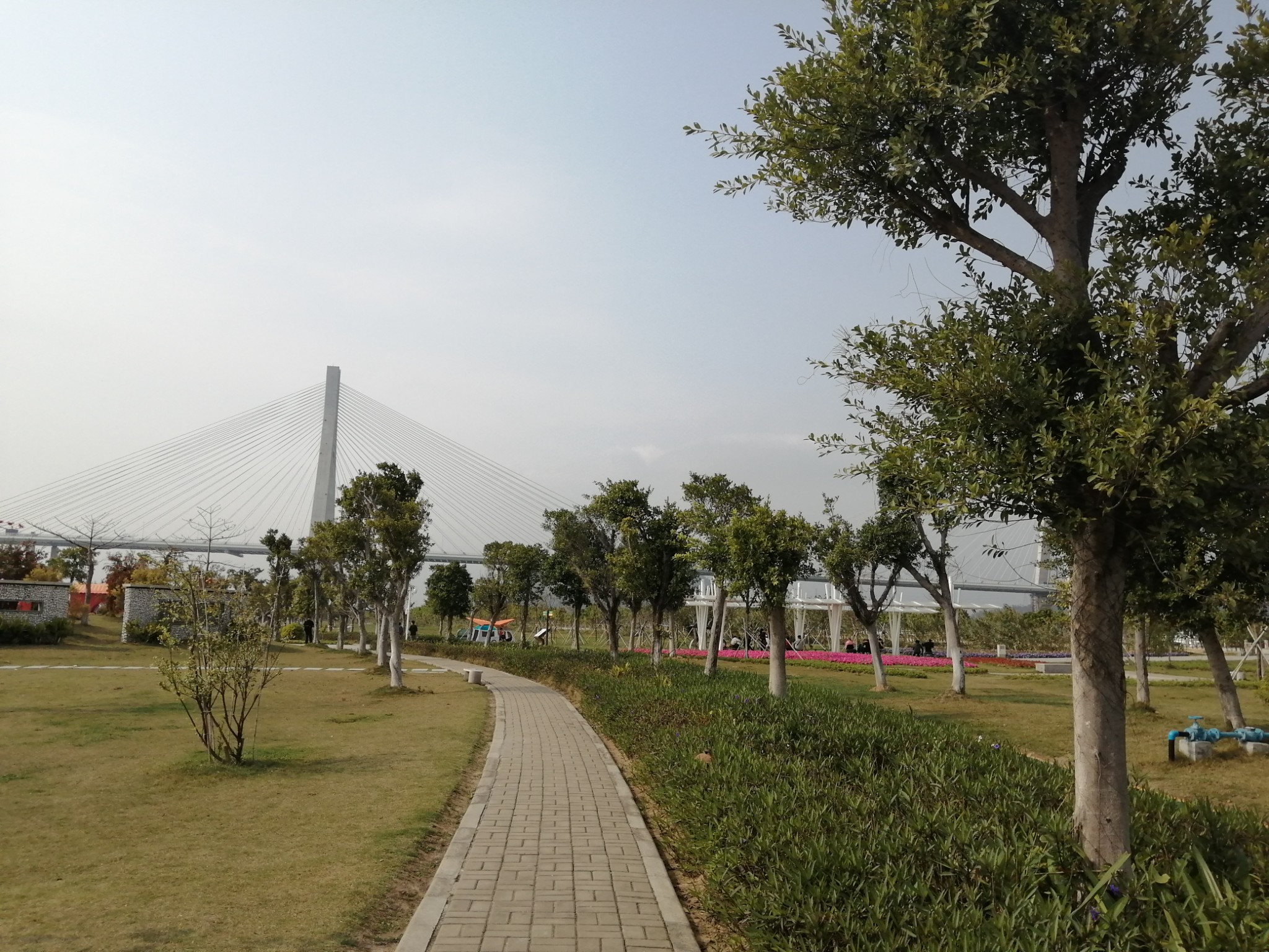 珠海横琴芒洲湿地公园|山脉田园,水脉都市,芒海浮绿,>