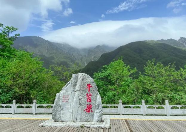 陕西柞水牛背梁国家森林公园 终南山寨一日游(含门票