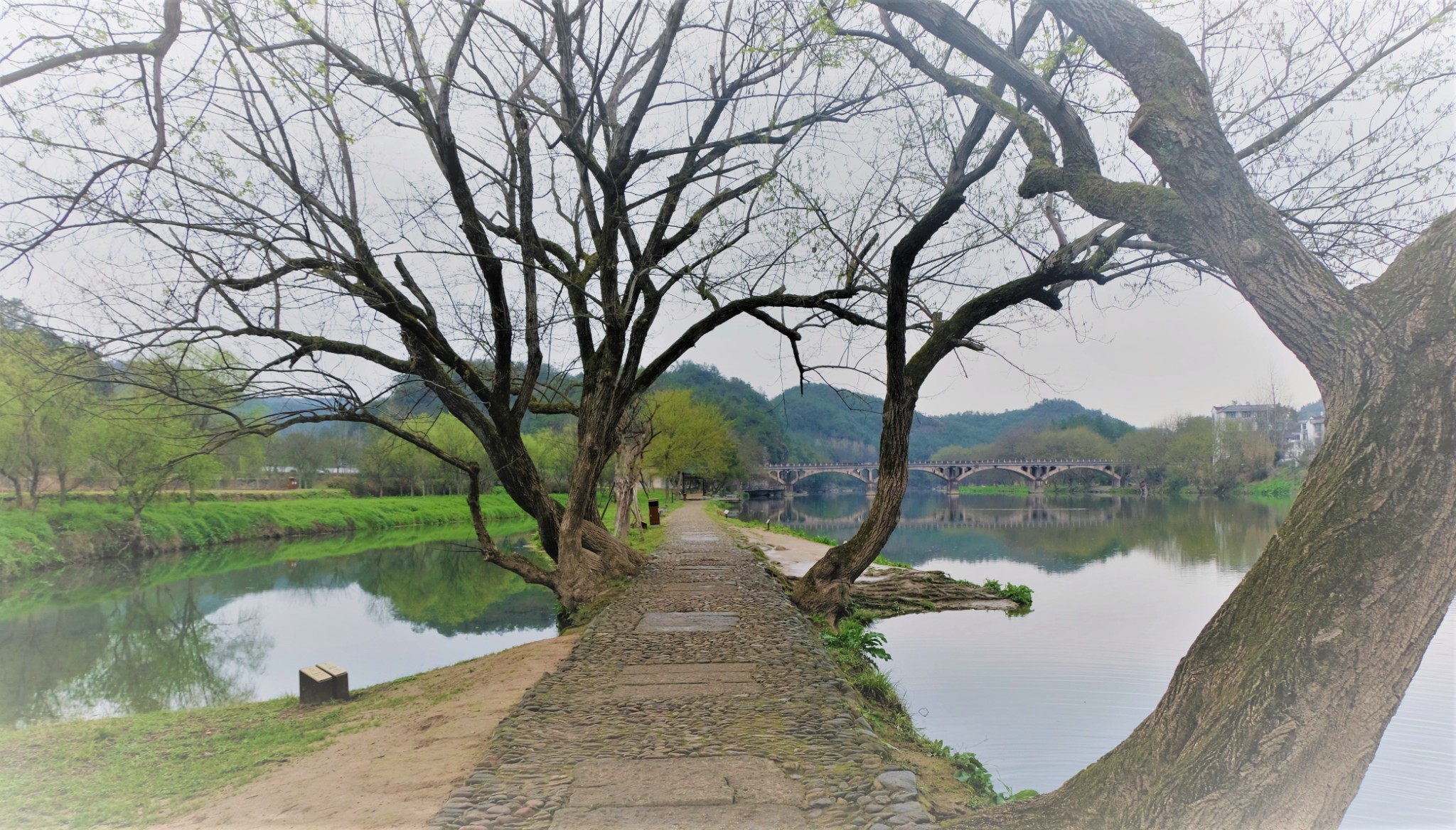 缙云春梦_游记