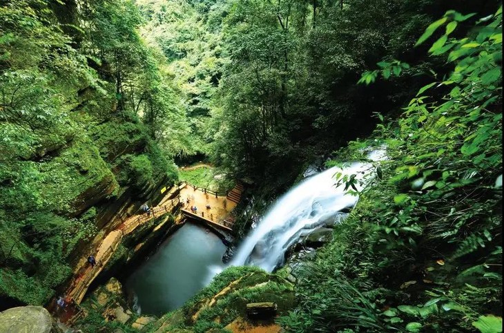 雅安碧峰峡自然风景区门票碧峰峡门票景区内熊猫基地观光车电梯套票