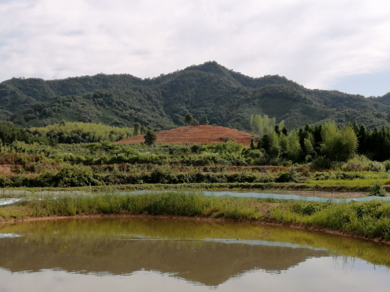 探访张古山（山客游之八十六）