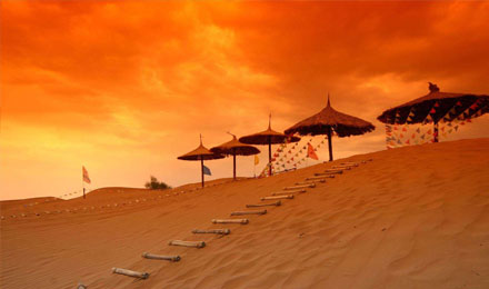 嗨玩沙漠·银川·腾格里沙漠 沙坡头·一日游(免费提供服装拍照 免费