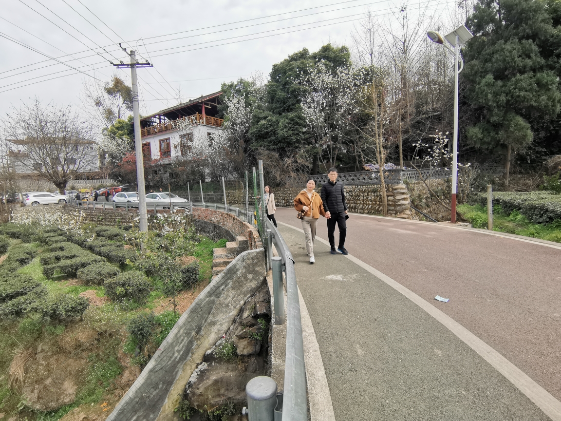 成都周边自驾游～蒲江县樱桃山景区,2021年2月17日.