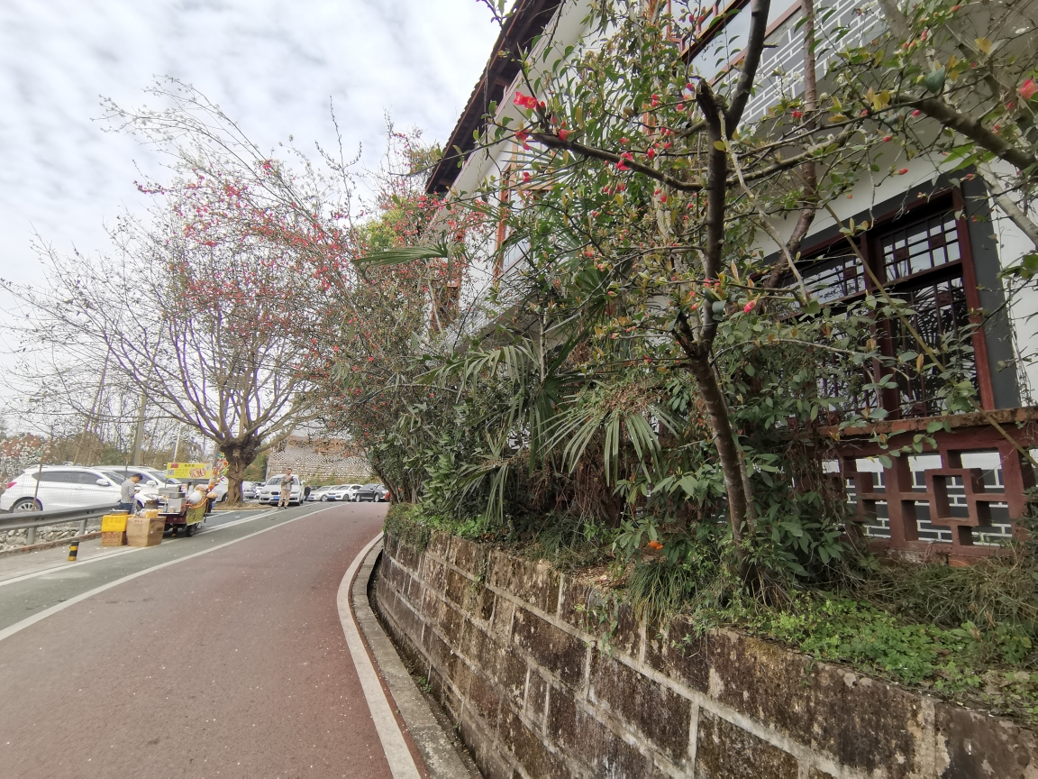 成都周边自驾游～蒲江县樱桃山景区,2021年2月17日.