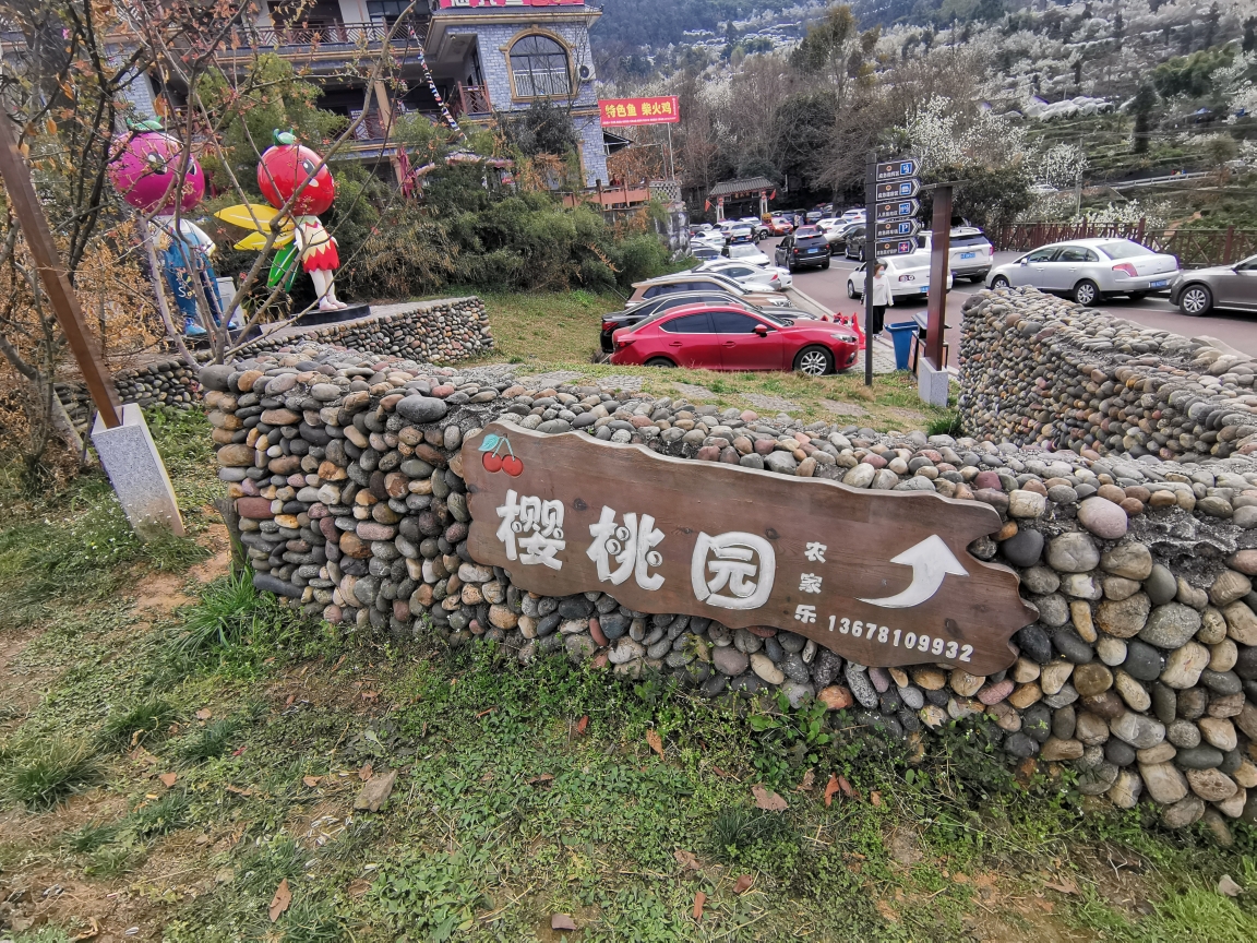 成都周边自驾游～蒲江县樱桃山景区,2021年2月17日.