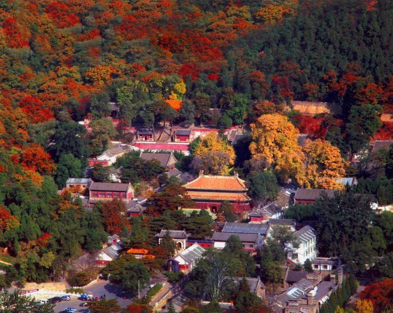 千年古刹潭柘寺赏玉兰永定河畔登高远眺一日游千年古刹潭柘寺永定河畔