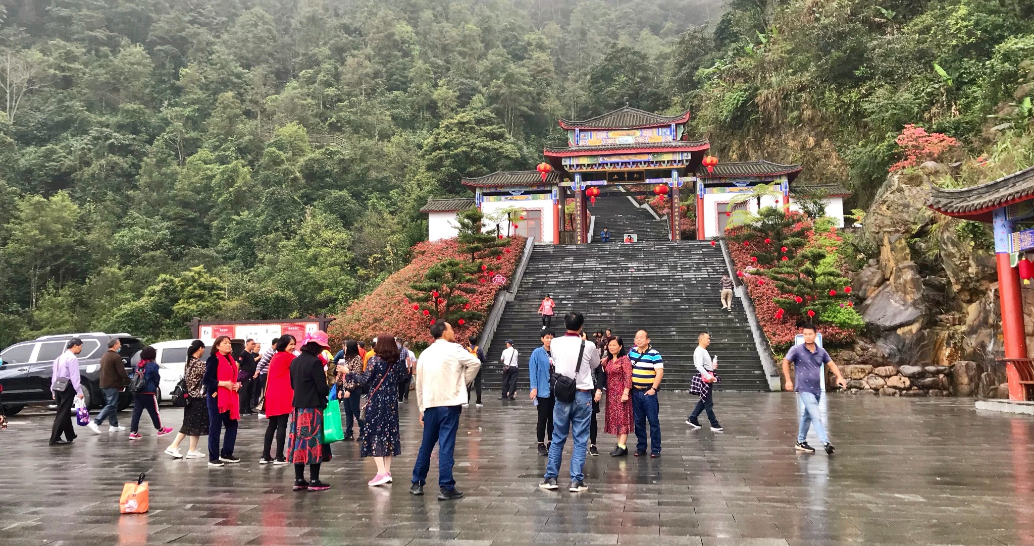 登高赏杜鹃,探秘广西平南北帝山旅游区初春仙境!自驾游约起来!