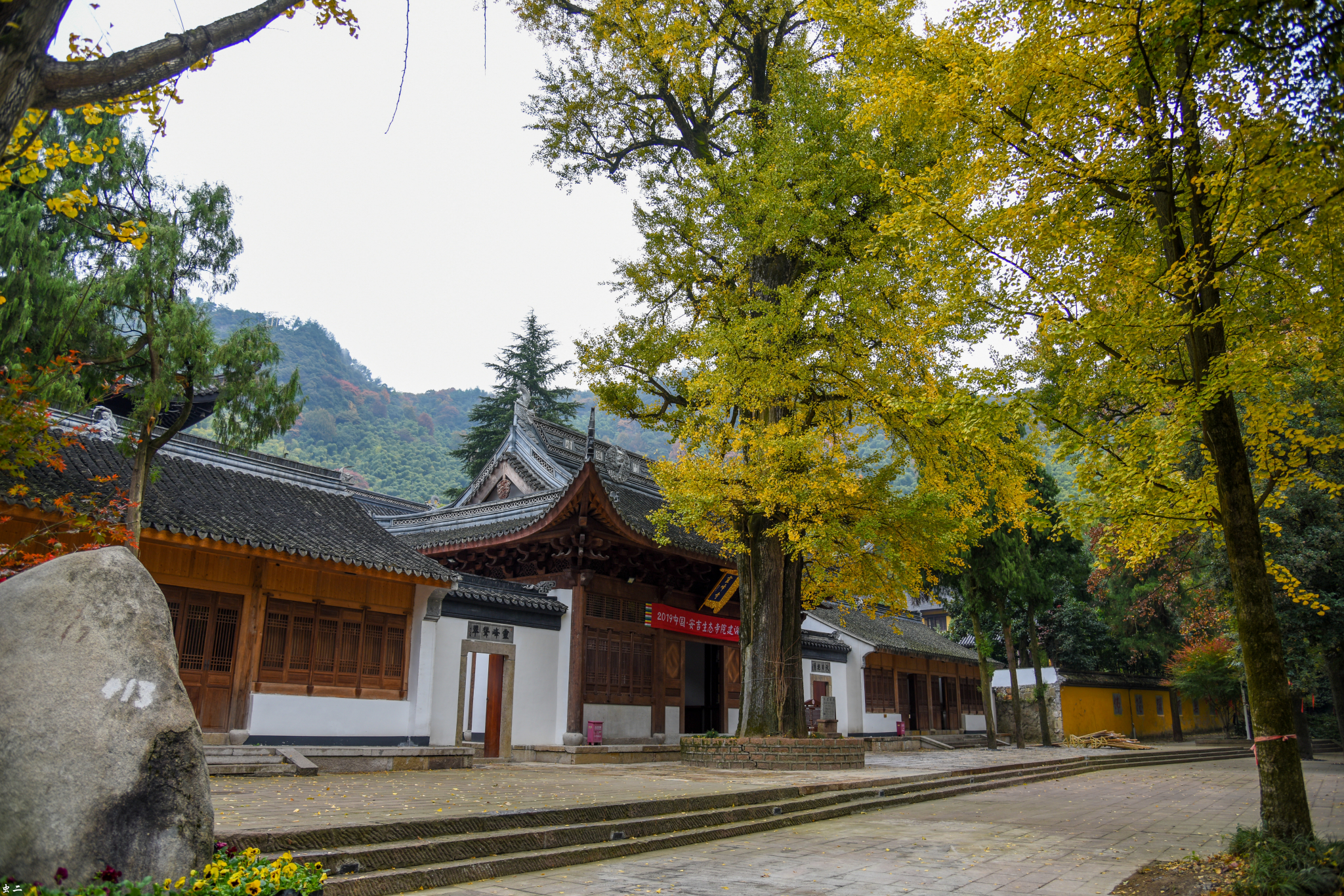 安吉灵峰寺 县保 灵峰寺千佛塔 千年银杏 隐桥 鱼梆 古塔巡礼系列之