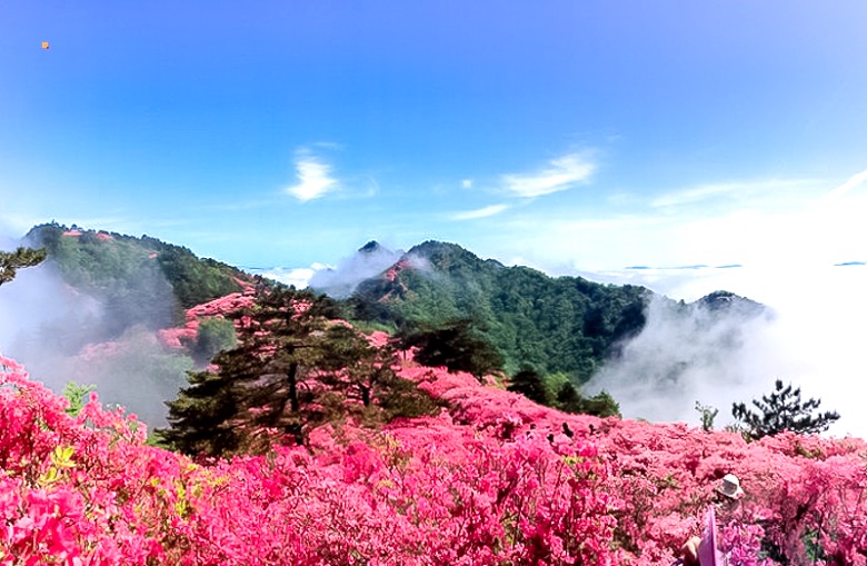 五一5日游北京出发挺进大别山鲜为人知大别山秘境麻城杜鹃马鬃岭天堂