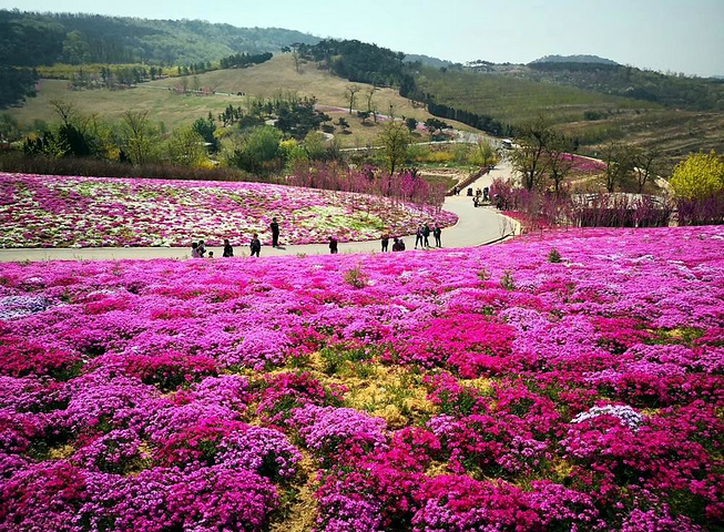 大连英歌石植物园门票 英歌石景区电子票预订