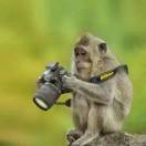 PLI-陈跃进（Johnson）