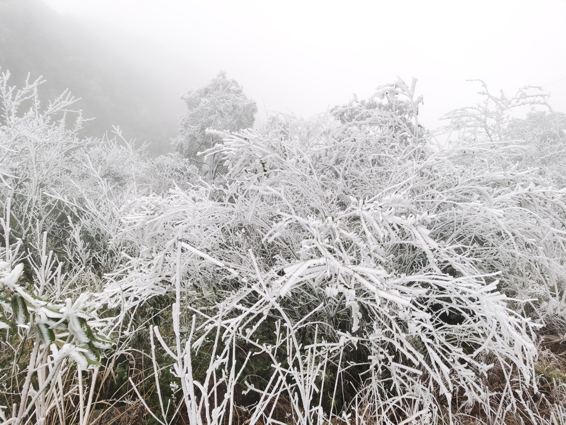 自驾游广东第一峰赏雪_游记