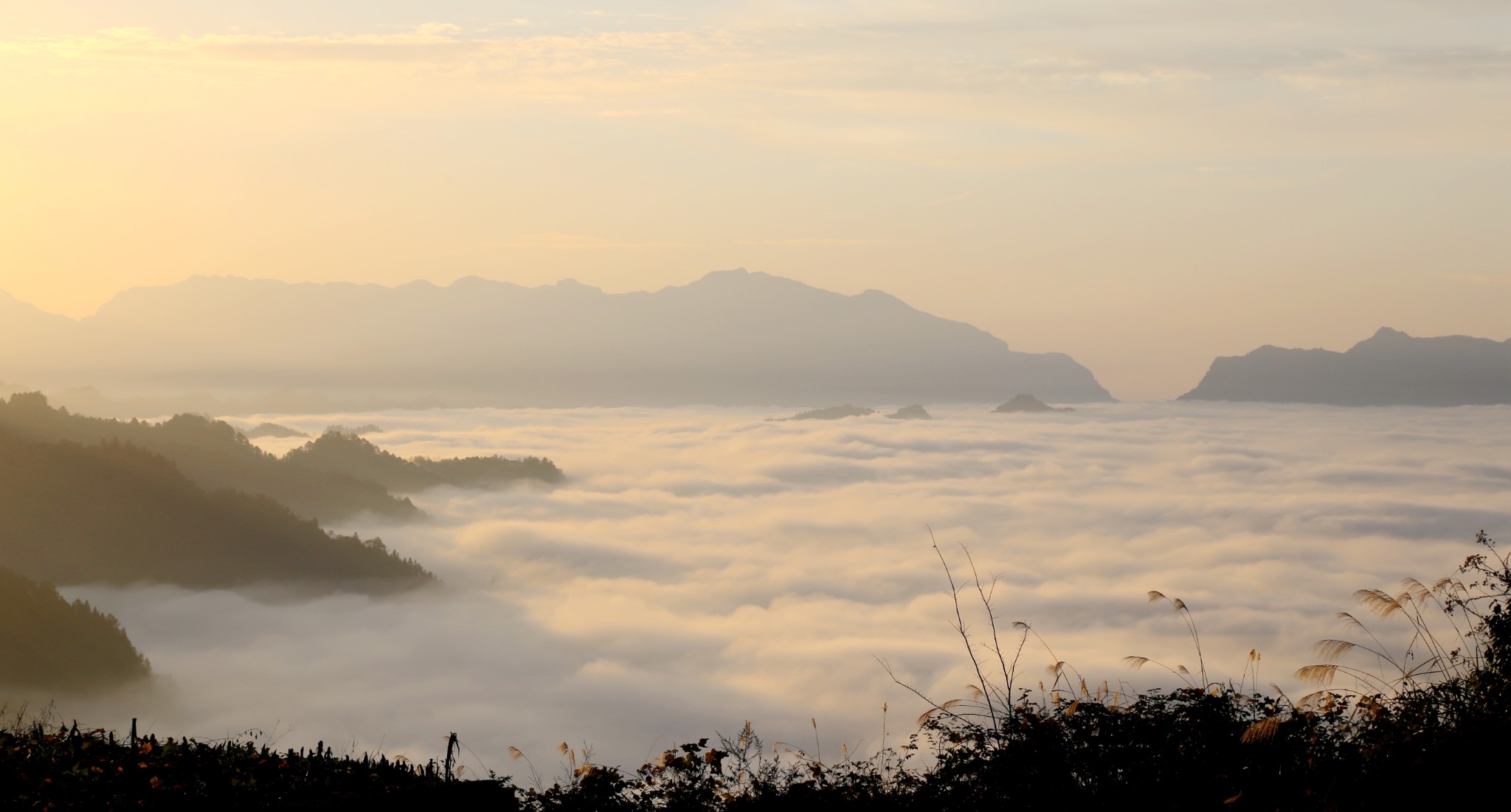 云深不知处    毛坝青岩村