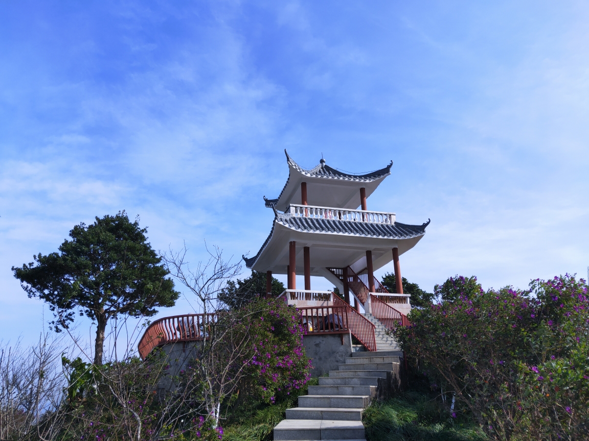 从坪山黄竹坑穿越马峦山,梅亭赏梅,深圳自助游攻略 马蜂窝