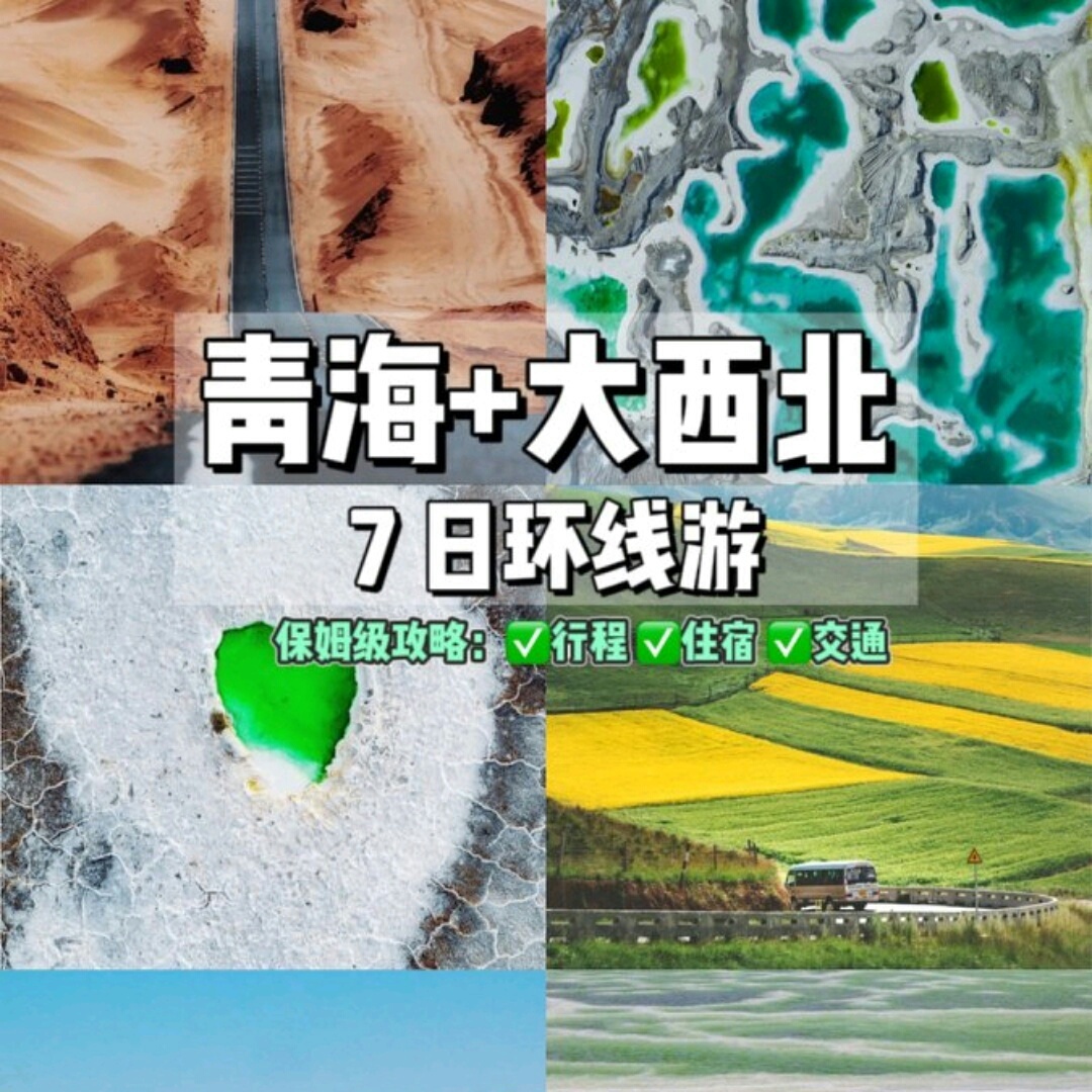 青海小杨