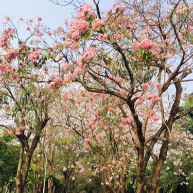 岁月静好