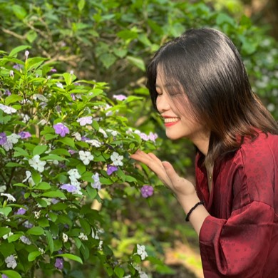 会唱歌的草菇