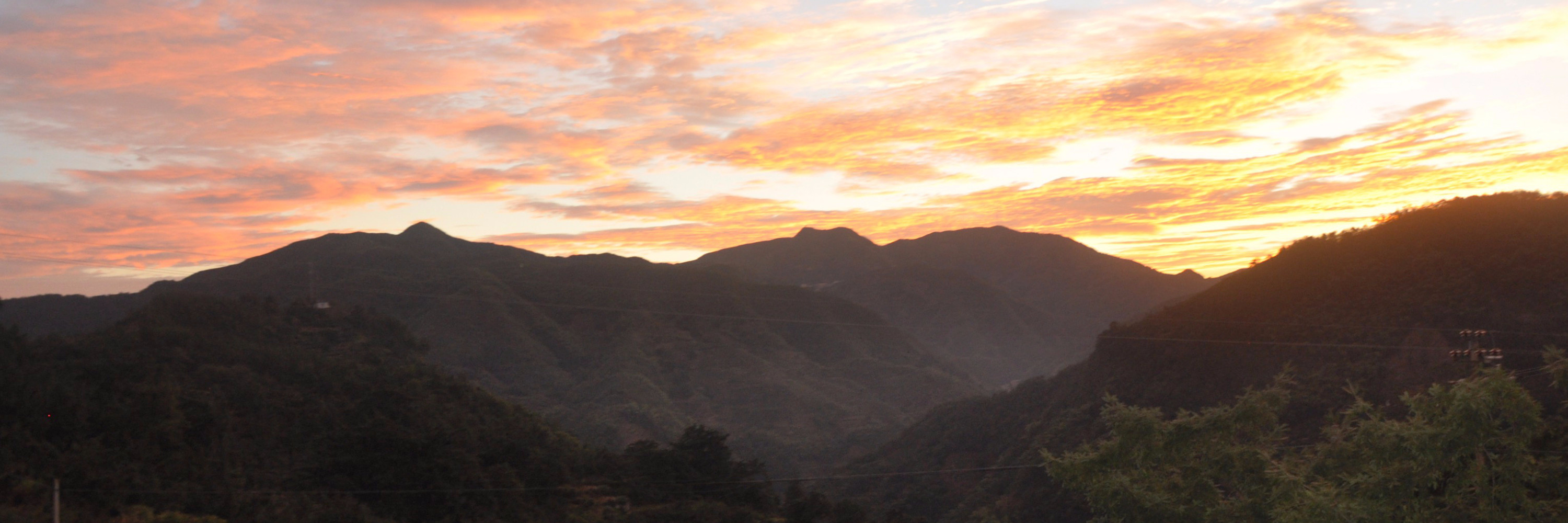 享受在西施故里香榧森林里的农家快乐_游记