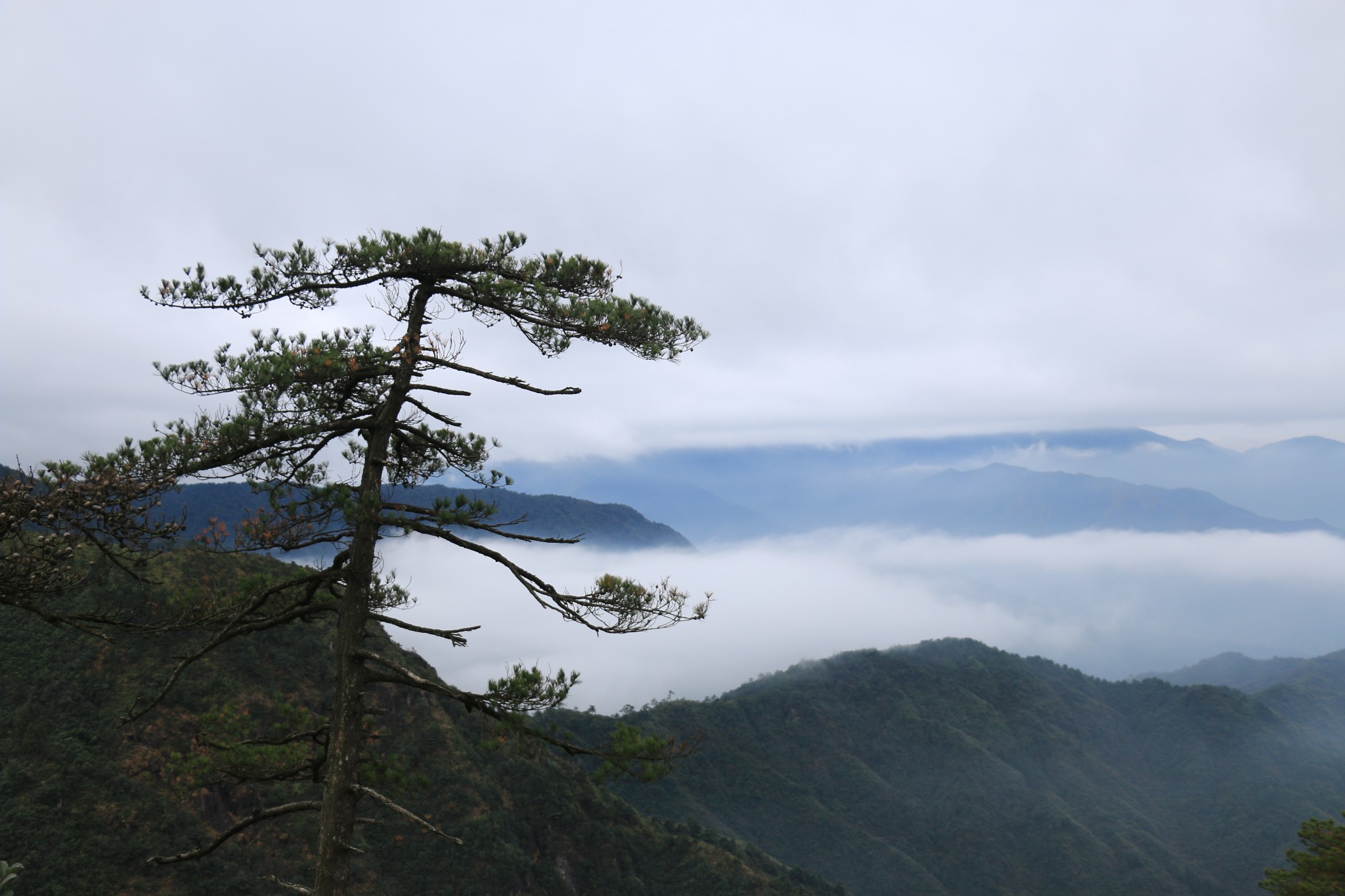 游永州“小黄山”江华飞仙源观松石云海美景