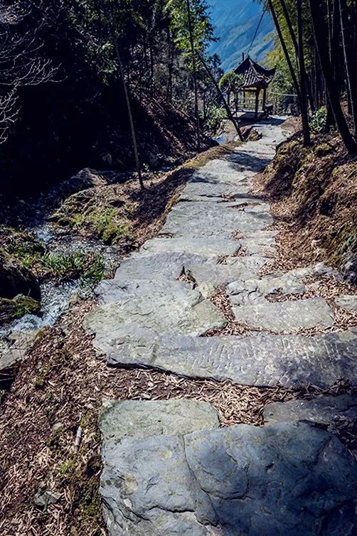 婺源经典徒步路线推荐| 多条古驿道,赏秋好去处!