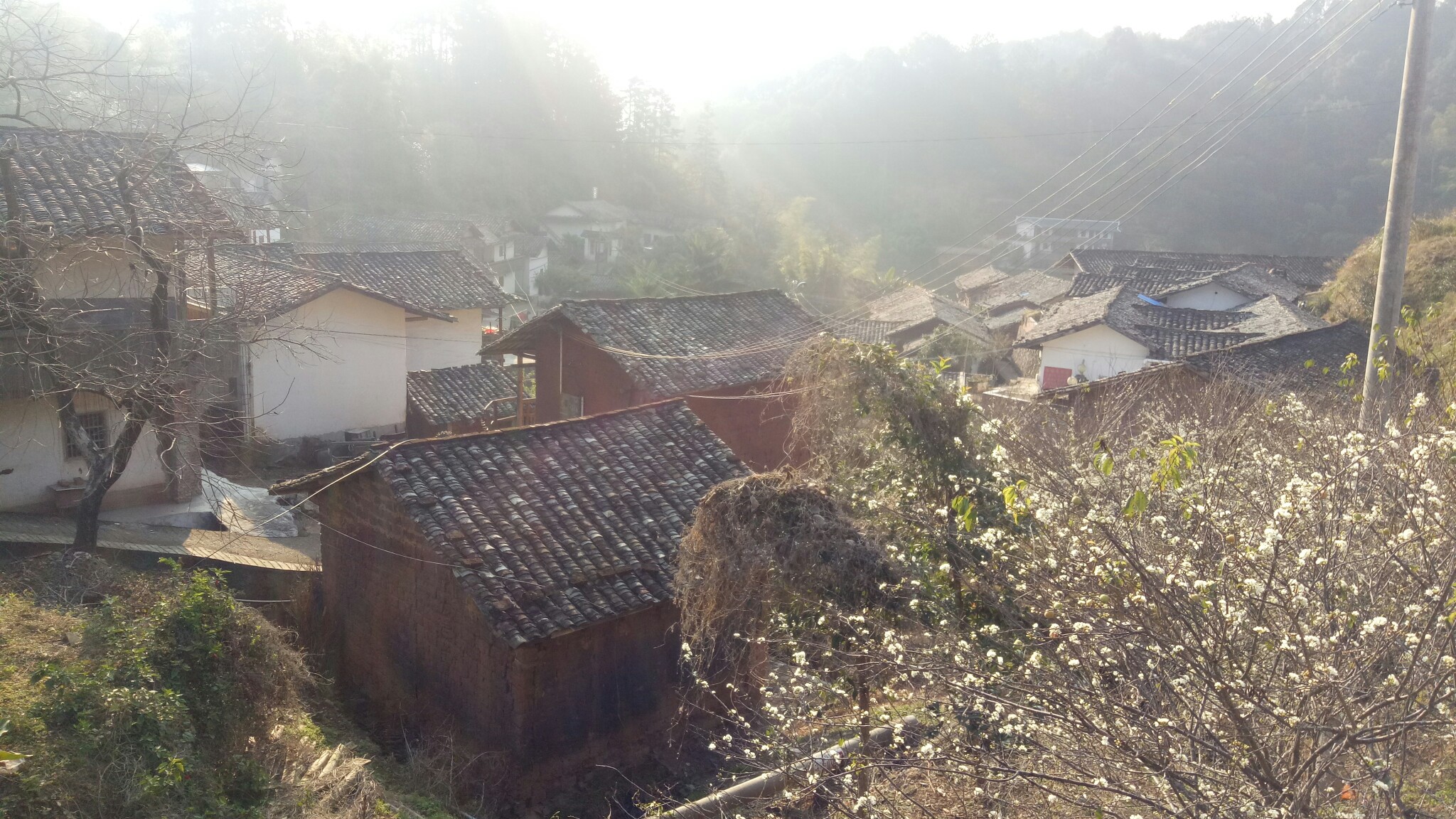 福游3-龙文原始森林_游记