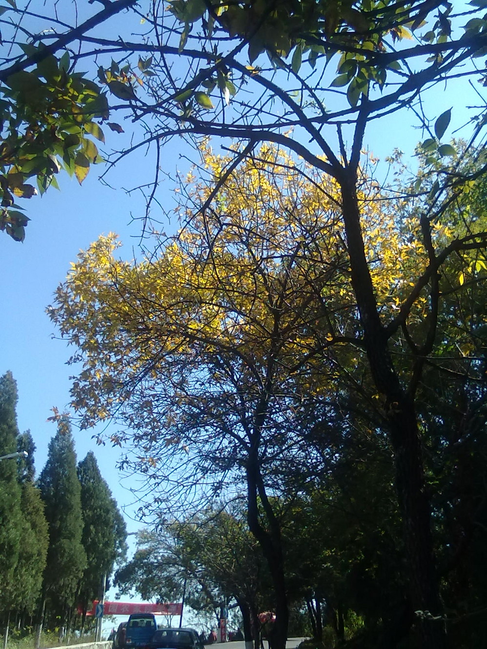 【戒台寺图片】