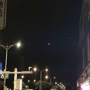 橡树