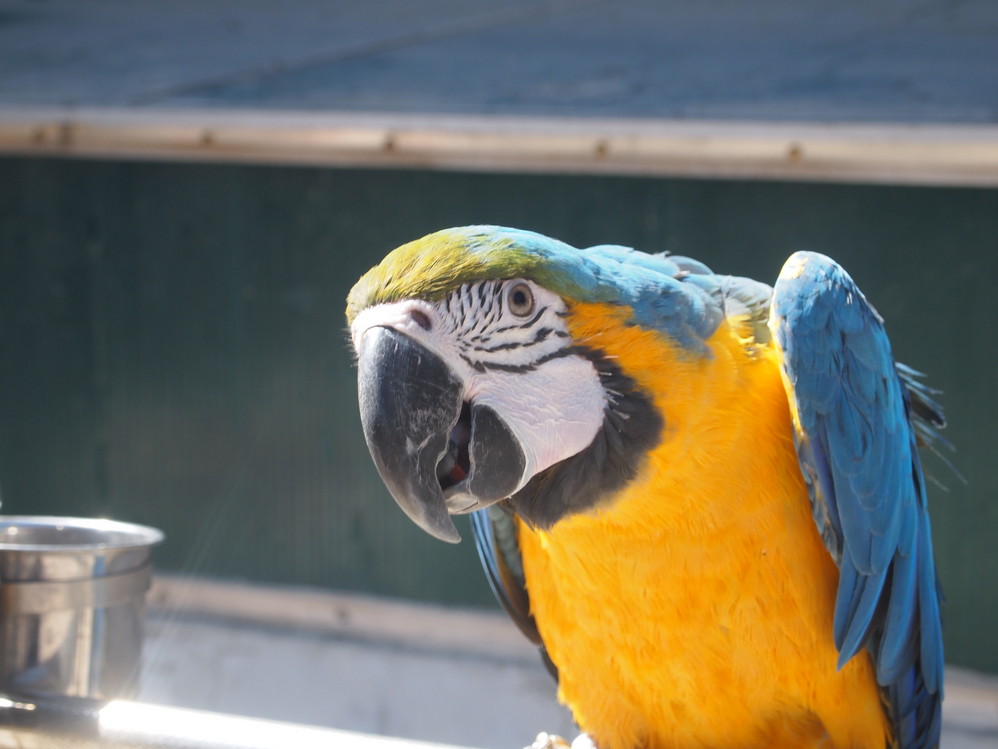 【戒台寺图片】