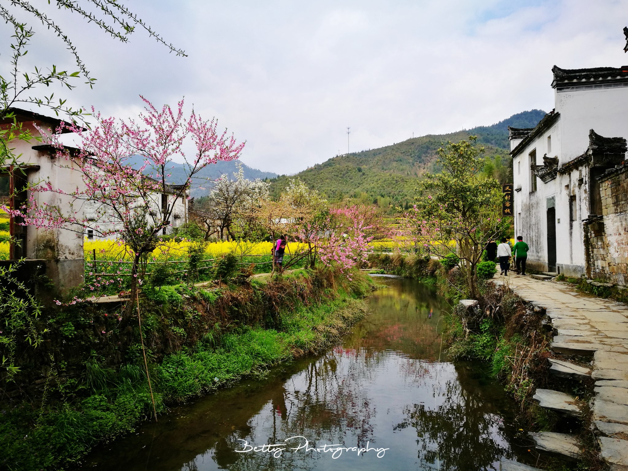 ·婺源 | 一场黄、粉、白交织的春梦_游记