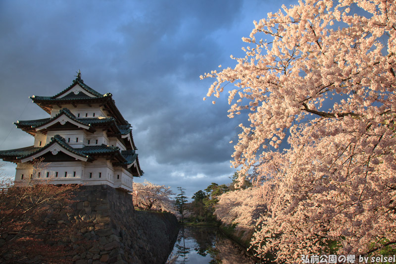 青森县