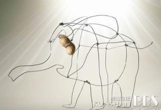 阳光花
